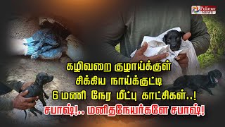 கழிவறை குழாய்க்குள் சிக்கிய நாய்க்குட்டி 6 மணி நேர மீட்பு காட்சிகள் சபாஷ் மனிதநேயர்களே சபாஷ் [upl. by Nyrak]