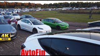 Finlands MOST EPIC Tesla Light Show 2024 [upl. by Imaj413]