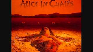 Alice In Chains  The Rooster [upl. by Prestige]