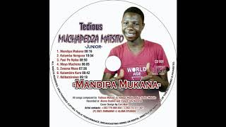 Tedious Muchapedza Matsito Jnr  Kutambira Kure MANDIPA MUKANA ALBUM 2021 [upl. by Fairfax]