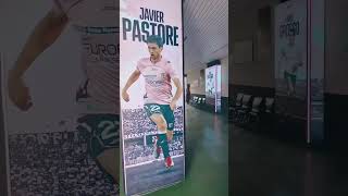 Um giro pelo estádio do Palermo na Itália campeonatoitaliano futebolitaliano [upl. by Bail]