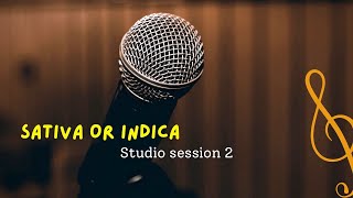 Novak808  Sativa or Indica Studio Session [upl. by Oicnedurp]