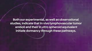 Tumor Dormancy Initiated by Lymphovascular Embolus  Oncotarget [upl. by Ynohtnaluap]