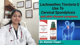 Use of Lachnanthes Tinctoria Q  Homeopethic Important Medicine for cervical spondylitis [upl. by Haet]