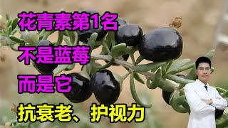 “花青素第1名”不是蓝莓，而是它！抗衰老、护视力，还有这5种也别错过 李医生谈健康 [upl. by Juliann]