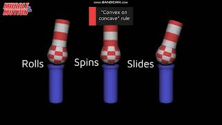 Artrokinematics artrocinemática [upl. by Ikkim869]