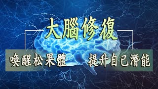 【528Hz】修復DNA ► 大腦修復2小時聲音頻率治療 修補身體內DNA 回復健康  腦音樂 喚醒松果體，提升自己潛能，意識冥想音樂 [upl. by Lennaj]