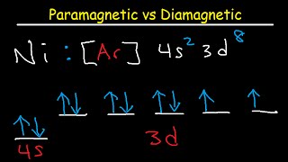 Paramagnetic vs Diamagnetic  Paired vs Unpaired Electrons  Electron Configuration [upl. by Bertila548]