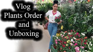 HOUSEPLANT SHOPPING  VLOG  BEGONIAS COLLECTION UPDATE [upl. by Ebbie]