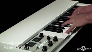 Mellotron M4000D Mini [upl. by Elana748]