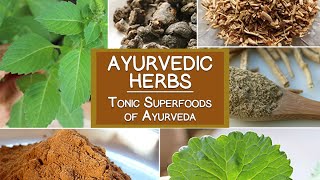 Ayurvedic Herbs The Tonic Superfoods of Ayurveda [upl. by Intruok]