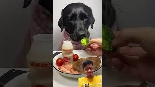 Testing Cheap vs Expensive Dog Foods [upl. by Adnylam189]