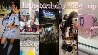 MY 18TH BIRTHDAY VLOG  traveling to atl going out etc [upl. by Clo]