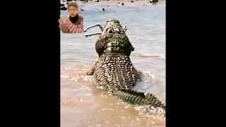 Crocodiles Catch whole herd of migrating Gazelle 🐊☠reaction ytshort viral gazelle crocodile [upl. by Naujal]