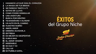 Éxitos Del Grupo Niche  Salsa Power [upl. by Ahsaetan]