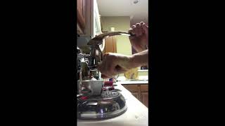 Morning routine with La Pavoni stradivari [upl. by Htirehc]