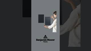 Benjamin Moore Paint Gray Paint Colors [upl. by Iluj264]