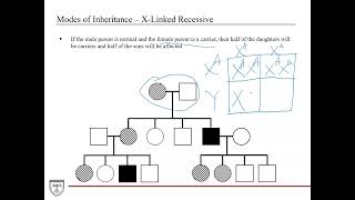 Modes of Genetic Inheritance and HardyWeinberg Equilibrium Genetics 2 of 8 [upl. by Tikna]