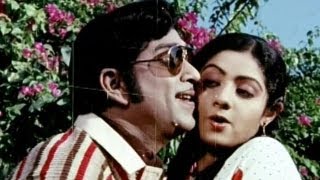 Premabhishekam Songs  Na Kallu Cheputunnayi  ANR Sridevi  HD [upl. by Fritz]