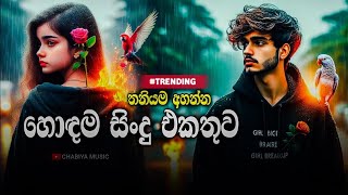 තනියම අහන්න හොඳම සිංදු එකතුව  Best New Sinhala Songs Collection  Sinhala Songs  New Sinhala Songs [upl. by Nguyen734]