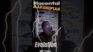 💥 Placental Mammals Vs Australian Marshupian 🔥 Trick to Remember Evolution Biology ⚡ Examples [upl. by Fitzpatrick]