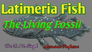 Latimeria fish The Living Fossil [upl. by Asilla391]