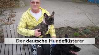 Hund Berlin Hundeflüsterer Berlin Hundetraining Berlin Der deutsche Hundeflüsterer Berlin [upl. by Millur808]