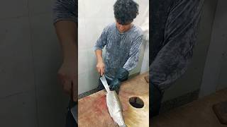 Worlds Fastest and Precisest Fish Cutting Skills Trout [upl. by Karb]