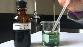 Bromothymol Blue Cellular Respiration Lab [upl. by True]