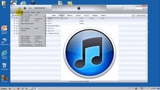 How To Delete Duplicate Songs Apple iTunes  Free amp Easy [upl. by Nivlad]