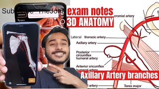 axillary artery branches and relations  axillary artery 3d anatomy [upl. by Rufena]