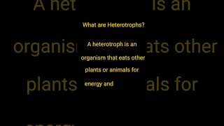 What are Heterotrophs  Heterotrophs  Define Heterotrophs shorts ytshorts short ytshortsindia [upl. by Laitselec]