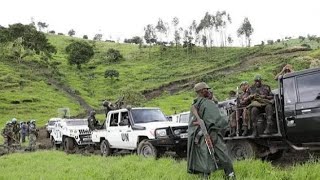 Guerre du M23RDFAFC Bravo à la force speciale de fardc actualités de ce lundi soir 26824 [upl. by Anitsrik79]