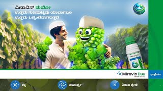 Syngenta  Miravis Duo  Grapes  Motion Poster  Kannada [upl. by Lora258]