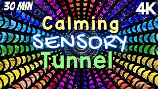 Autism Calming Music Engaging Light Tunnel [upl. by Sebastian]