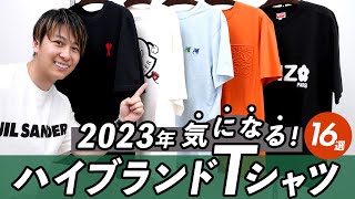 【バズりTシャツ16選】2023春夏に買うべきブランドTシャツを徹底レビュー！ネットでTシャツを買う時のサイズ選びのコツ、Tシャツの素材感、白Tの透け感など詳しく検証 バイマ購入品紹介 [upl. by Beutler]