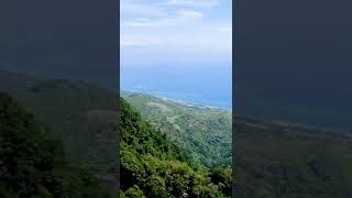 I had a VISITOR while filming on Mt Manucoco  Atauro Island Timor Leste 😅🇹🇱 shorts [upl. by Eulalia756]