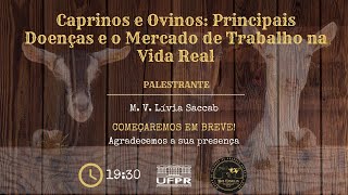 Caprinos e Ovinos Principais Doenças e o Mercado de Trabalho na Vida Real  M V Lívia Saccab [upl. by Zeph]