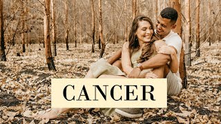 CANCER ✨ NOVEMBER 2024 ☀️ Future Prediction Month ☀️ Astrology Reading 🍀 Zodiac Sign Horoscope [upl. by Ellenaej]