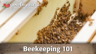 Beekeeping for Beginners  Hive Set Up [upl. by Kevan]