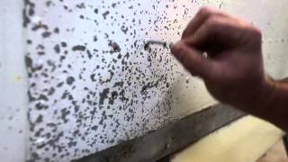 How To Remove Buck Rivets from an Airstream Trailer [upl. by Adkins]