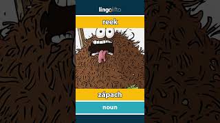 🇬🇧🇸🇰 reek  zápach  vocabulary builder  learn English  naučme sa anglicky [upl. by Stefa]