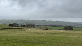 A day dry stone walling [upl. by Maryjane845]