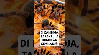 Di kambojatarantula dijadikan gorengan🤣 viralvideo facts trending shortvideo shorts shortfyp [upl. by Idnod]