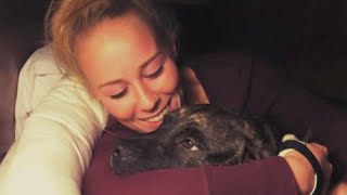 What Caused 2 Pit Bulls to Kill Their Owner [upl. by Garihc]