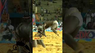 Bombardier vs eumeu séne combat royale 👑 shorts abonnés vous 🇸🇳 [upl. by Ingra290]