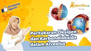 Pertukaran Oksigen dan Karbondioksida dalam Alveolus  IPA SMP [upl. by Estus]