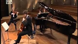 Mendelssohn Piano Trio No 1 Lang Lang [upl. by Llenram84]