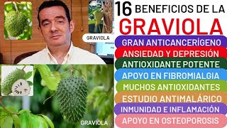 16 BENEFICIOS🌿🌳GRAVIOLA🌳🌿ANTICANCERÍGENO😮CORAZÓN❤️DEPRESIÓN👏HEMORROIDES👍FIBROMIALGIA🏋️ANTIMICROBIANO [upl. by Htiek358]