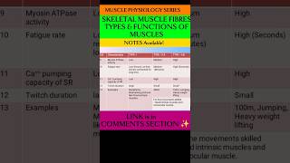 💥 MUSCLE PHYSIOLOGY  Sketelal Muscle Fibres TYPES amp Functions ✨ physiotherapyeducation muscles [upl. by Enomar]